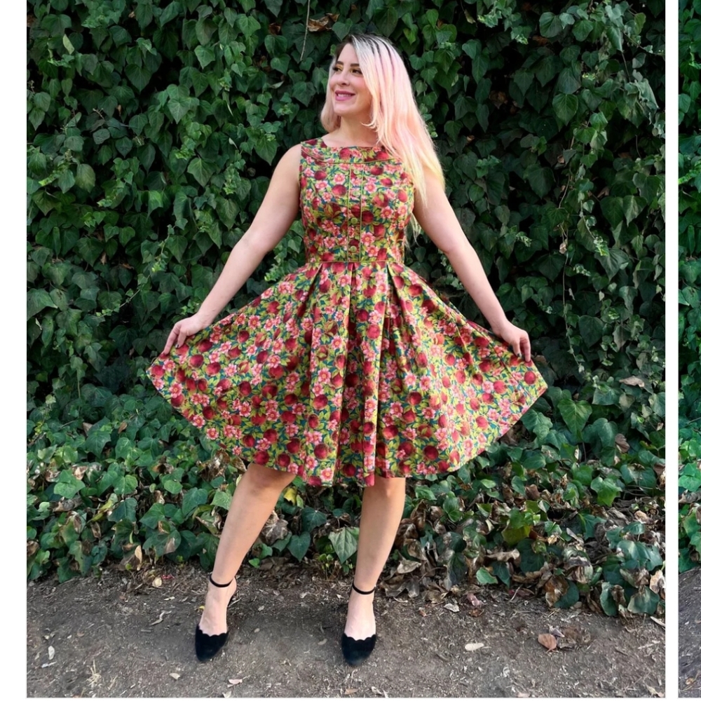 Retrolicious Pomegranate Dress XL NWT